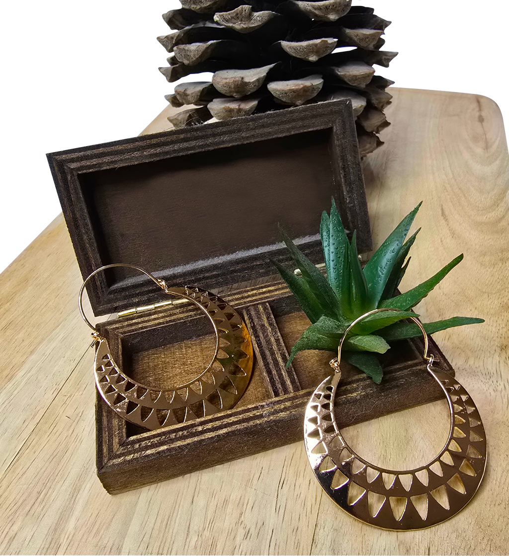 Boucles d'oreilles La Chiquita disques ajourés